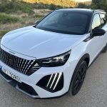 Peugeot E 2008 (106)