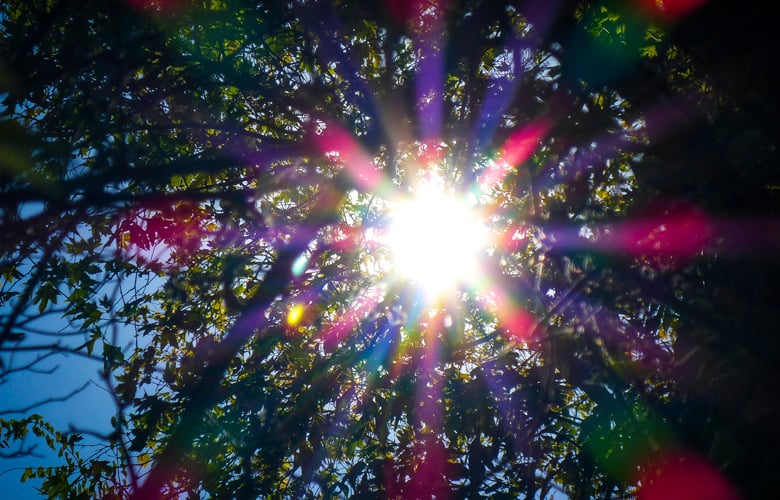 Καιρός: Ηλιοφάνεια στις περισσότερες περιοχές με λίγες νεφώσεις