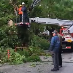Ισχυροί άνεμοι προκάλεσαν πτώσεις δέντρων και ζημιές σε αυτοκίνητα στην Πάτρα