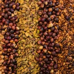 Σε πολλές χώρες απαγορεύεται, στην Ελλάδα το έχουμε στο ντουλάπι: Η «παρεξηγημένη» υπερτροφή που σώζει οστά και καρδιά