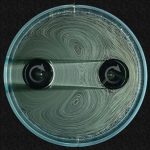 Έρχεται κιβώτιο ταχυτήτων χωρίς γρανάζια