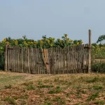 Ακαθάριστα οικόπεδα: Τι γίνεται αν οι ιδιοκτήτες δεν κάνουν δήλωση