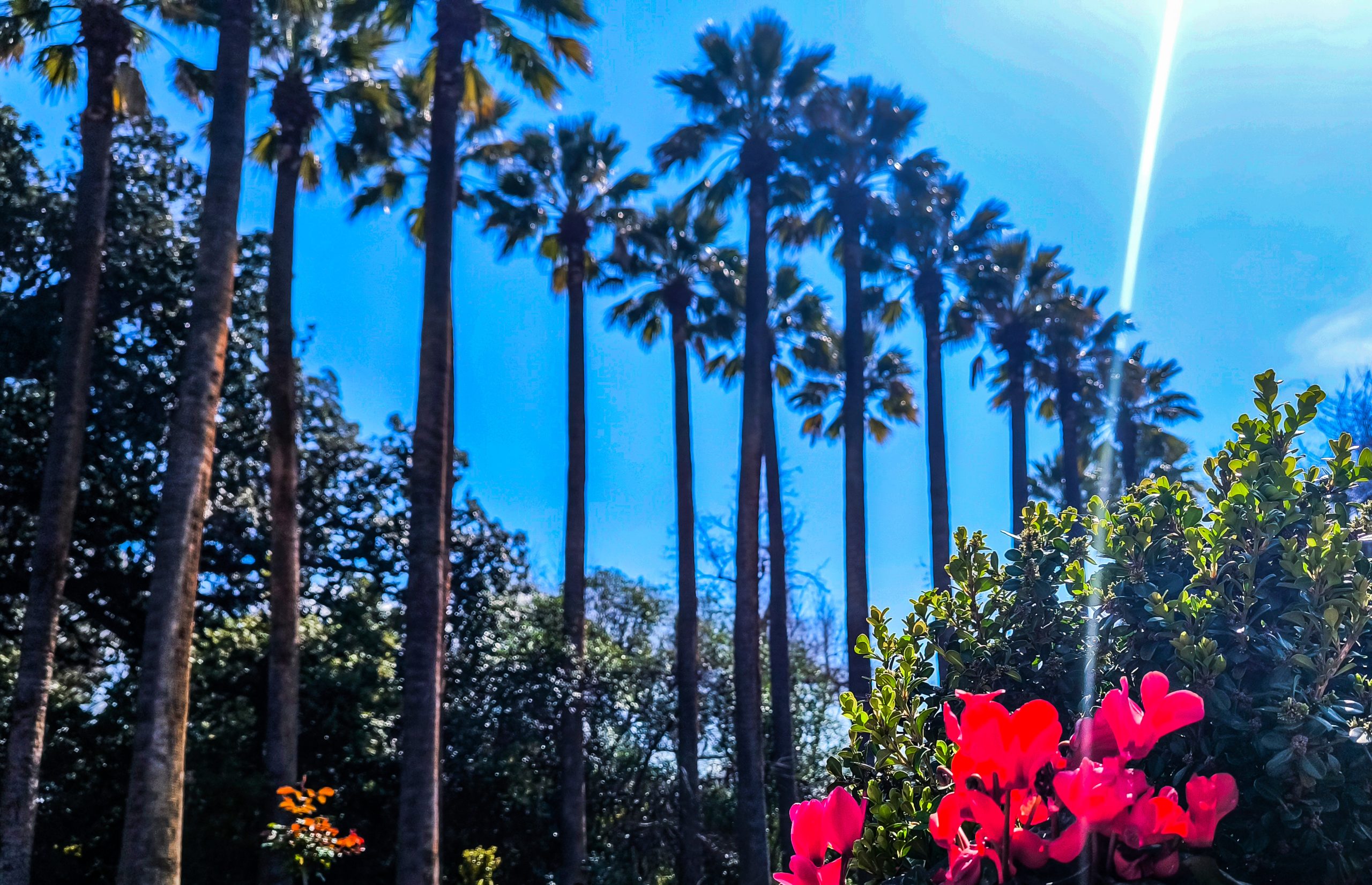 Καιρός: Ηλιοφάνεια, βοριάδες στο Αιγαίο και θερμοκρασίες κοντά στα κανονικά επίπεδα - ertnews.gr