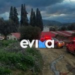 Τραγωδία στην Εύβοια – Κάηκε ολοσχερώς χοιροστάσιο με δεκάδες ζώα