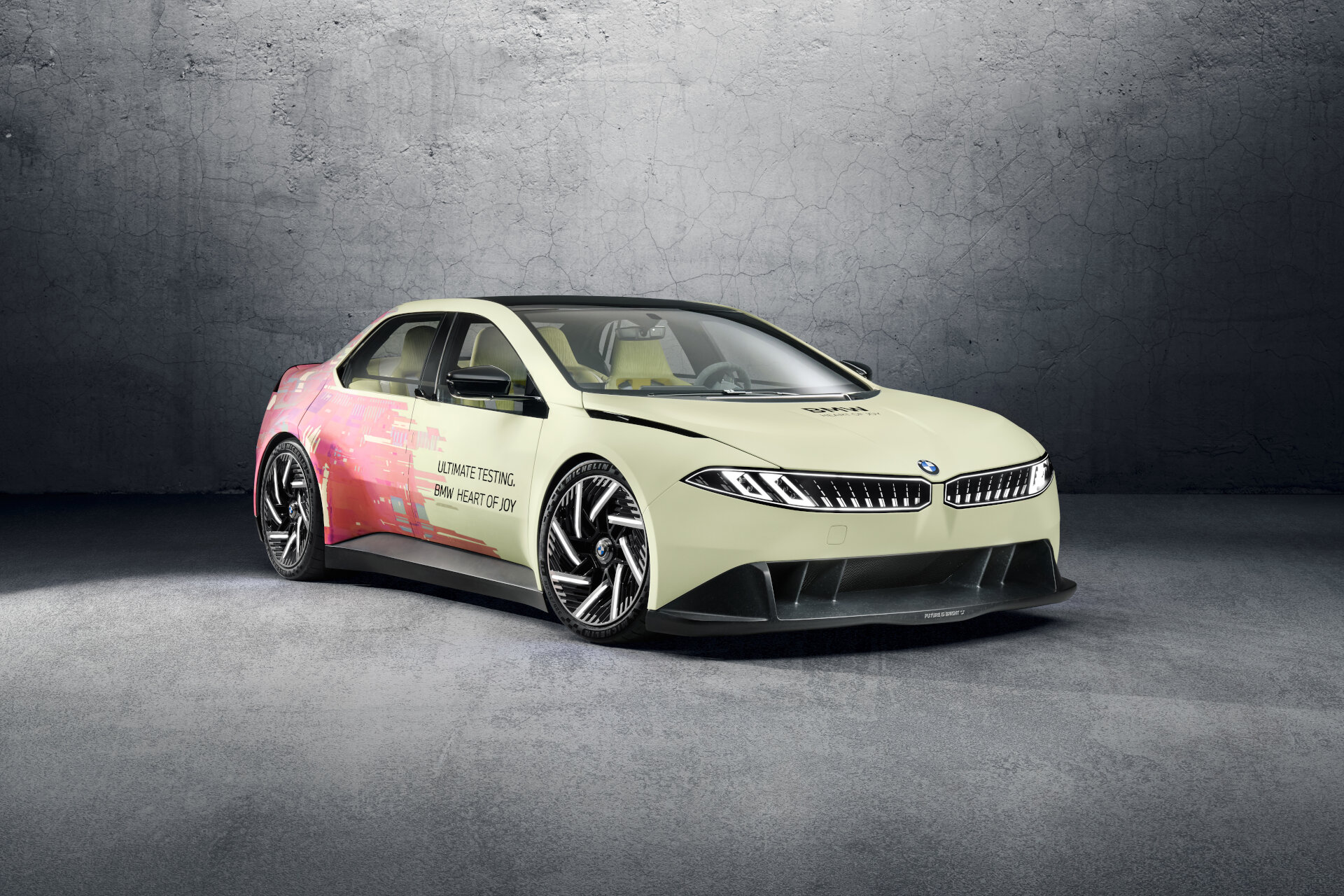 BMW Vision Driving Experience (5)