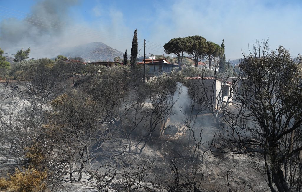 Από τι προκλήθηκε η μεγάλη πυρκαγιά στην Παλαιά Φώκαια – Σε καθεστώς αυξημένου συναγερμού η χώρα με αφορμή τις επικίνδυνες καιρικές συνθήκες