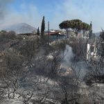 Από τι προκλήθηκε η μεγάλη πυρκαγιά στην Παλαιά Φώκαια – Σε καθεστώς αυξημένου συναγερμού η χώρα με αφορμή τις επικίνδυνες καιρικές συνθήκες