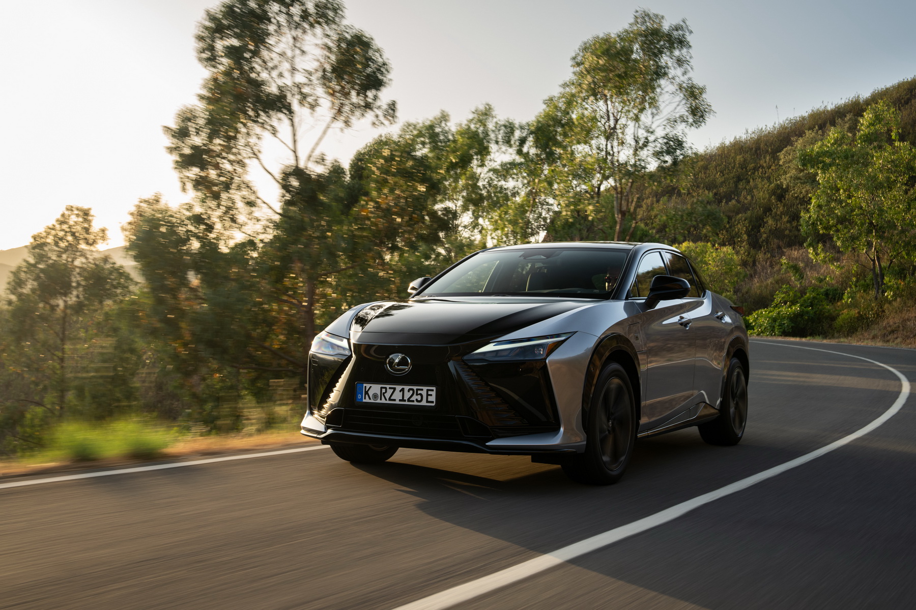 LEXUS RZ 550e F SPORT (6)