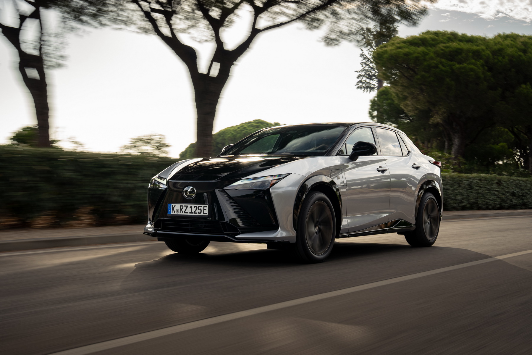 LEXUS RZ 550e F SPORT (9)