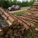 WRC Ott Tanak (Hyundai)