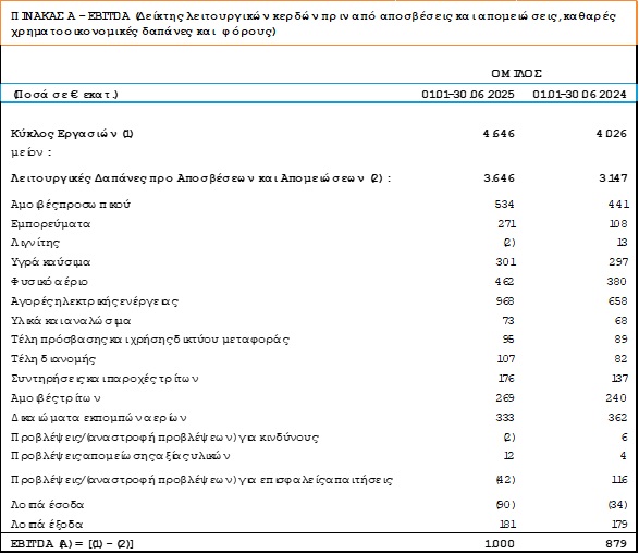 DEH OIKONOMIKA APOTELESMATA A 2025 5