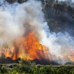 Μεγάλη φωτιά σε δασική έκταση στην Ισπανία – Εκκενώθηκαν εσπευσμένα ξενοδοχεία και κατασκηνώσεις
