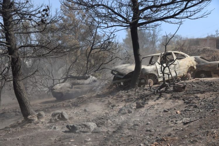 Τι κάηκε από τη φωτιά στην Κερατέα – Η ανάλυση της Υπηρεσίας Copernicus για την πληγείσα έκταση – Σώθηκε ο Εθνικός Δρυμός Σουνίου