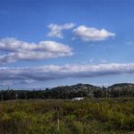 Καιρός: Γενικά αίθριος με νεφώσεις, οι οποίες θα πυκνώσουν το μεσημέρι
