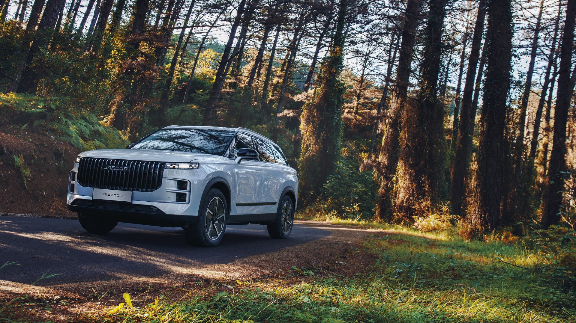 Jaecoo 7 SHS Plug in Super Hybrid 2025 (19)