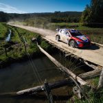 WRC Adrien Fourmaux (Hyundai)