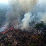 Το δάσος του Αμαζονίου υπέστη ακρωτηριασμό επιφάνειας ίσης με αυτήν σχεδόν όλης της Ισπανίας σε 40 χρόνια