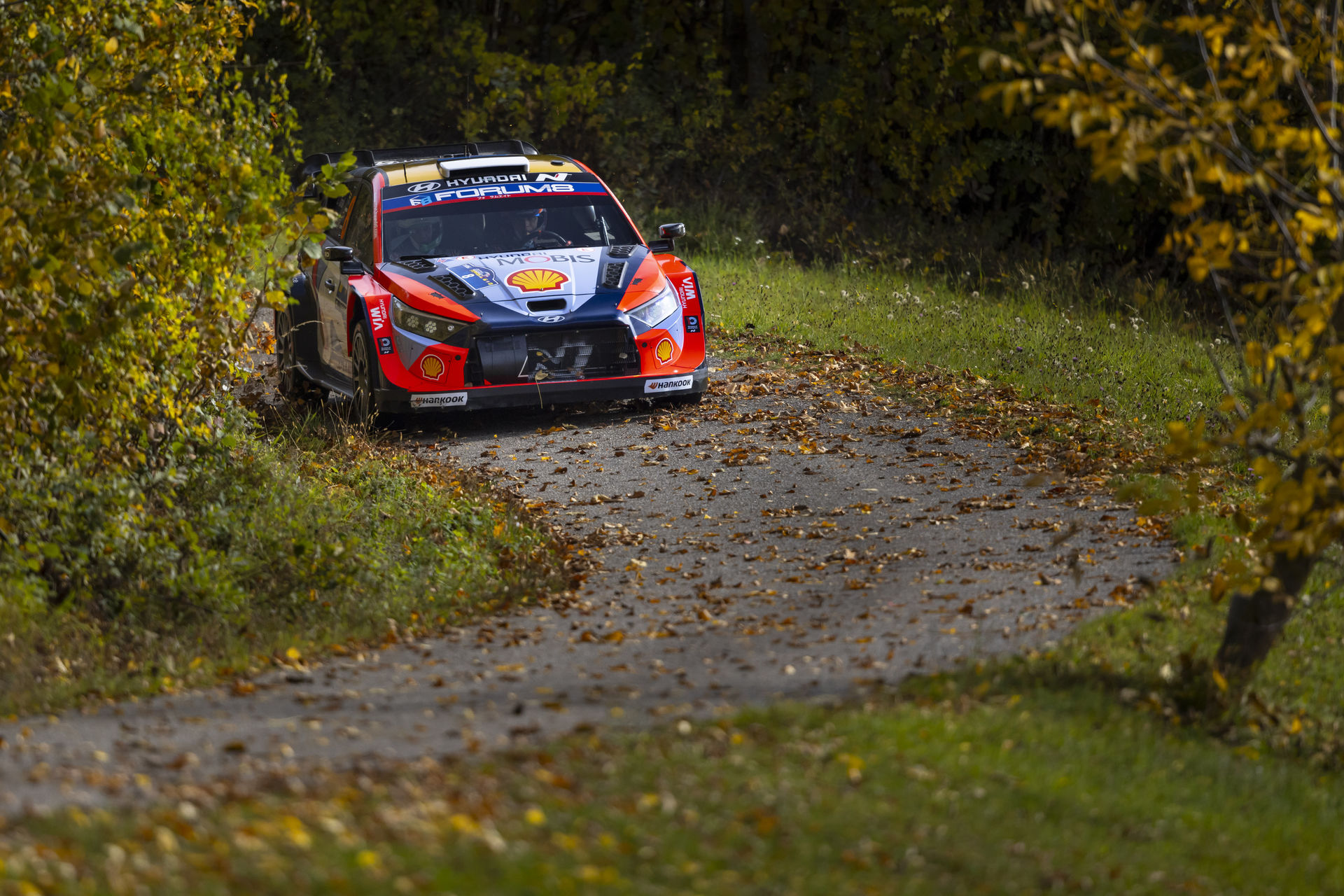 WRC Ott Tanak (Hyundai) (2)