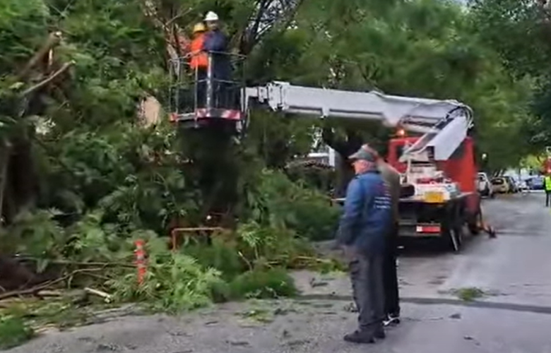 Ισχυροί άνεμοι προκάλεσαν πτώσεις δέντρων και ζημιές σε αυτοκίνητα στην Πάτρα