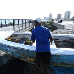 Τζαμάικα σε δοκιμασία: Ο κυκλώνας Μελίσα προκάλεσε ζημιές ίσες με το 30% του ΑΕΠ - FinanceNews.gr