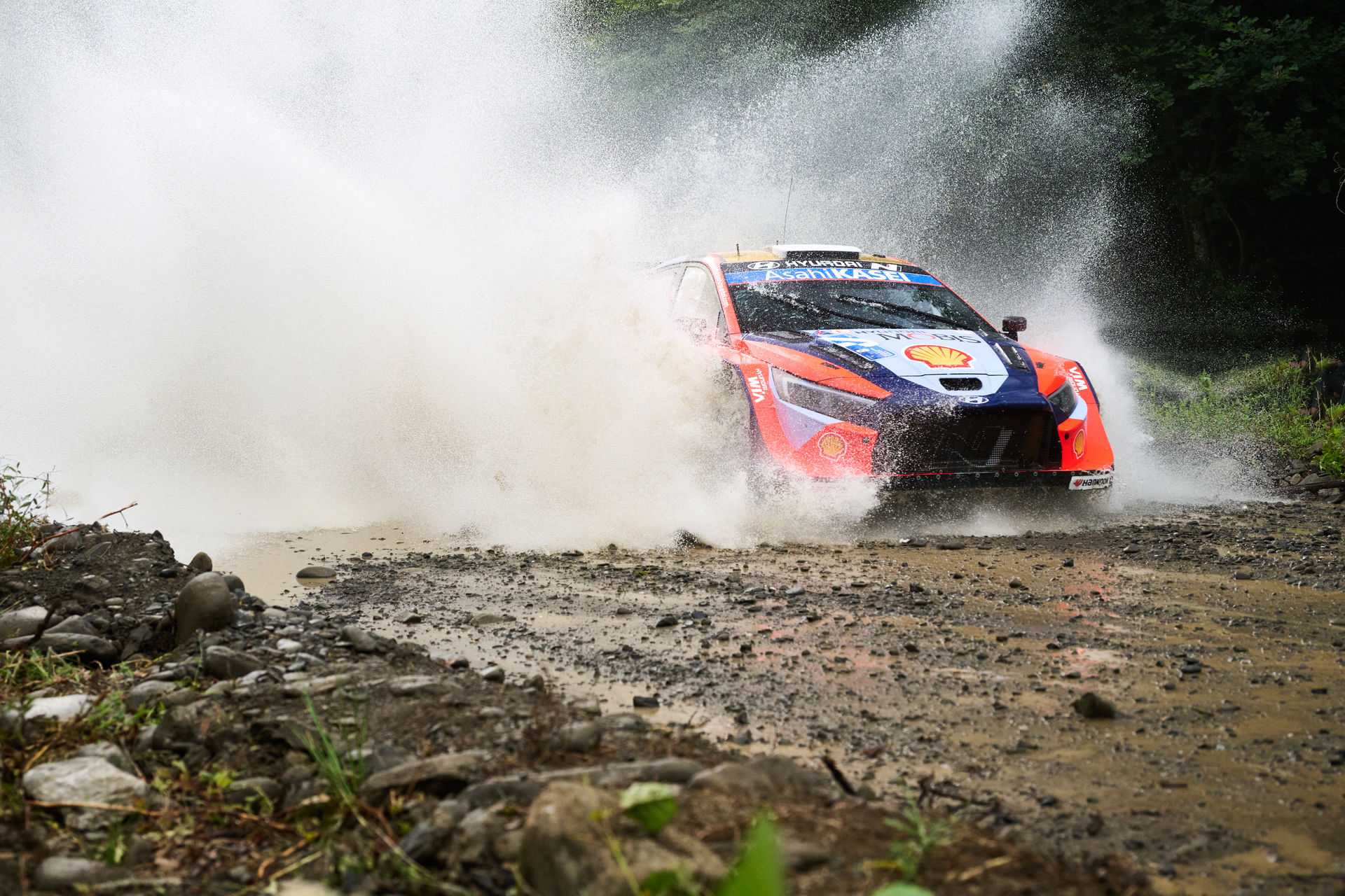 WRC Ott Tanak (Hyundai)