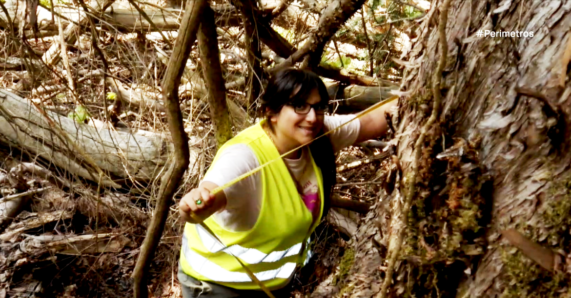 Ο γηραιότερος Ίταμος στην Ελλάδα