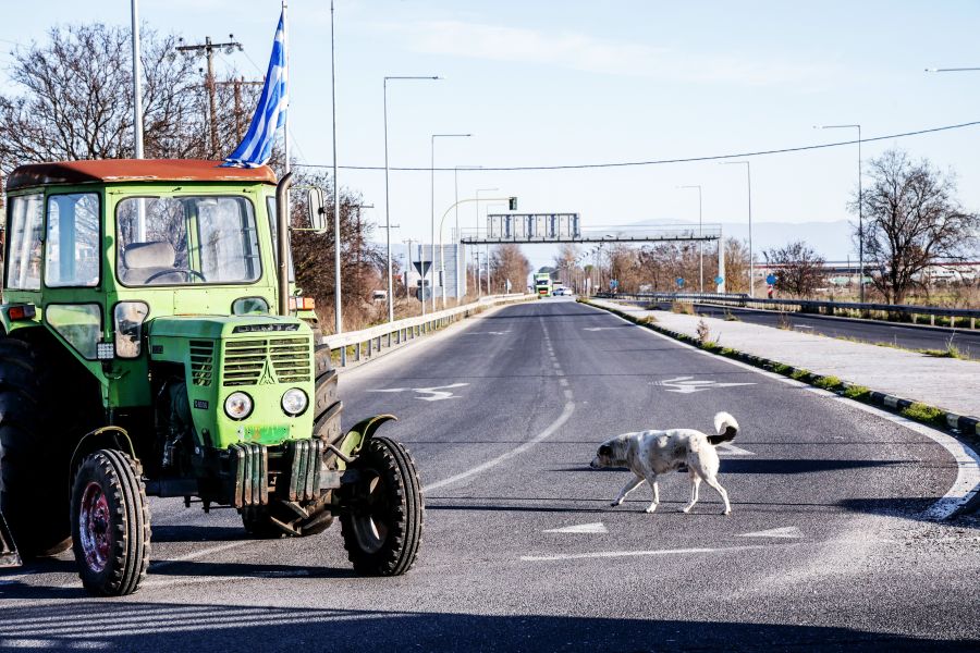 Σκανδαλώδης ανισότητα: Οι πλούσιοι γαιοκτήμονες απορροφούν τις περισσότερες επιδοτήσεις της ΚΑΠ