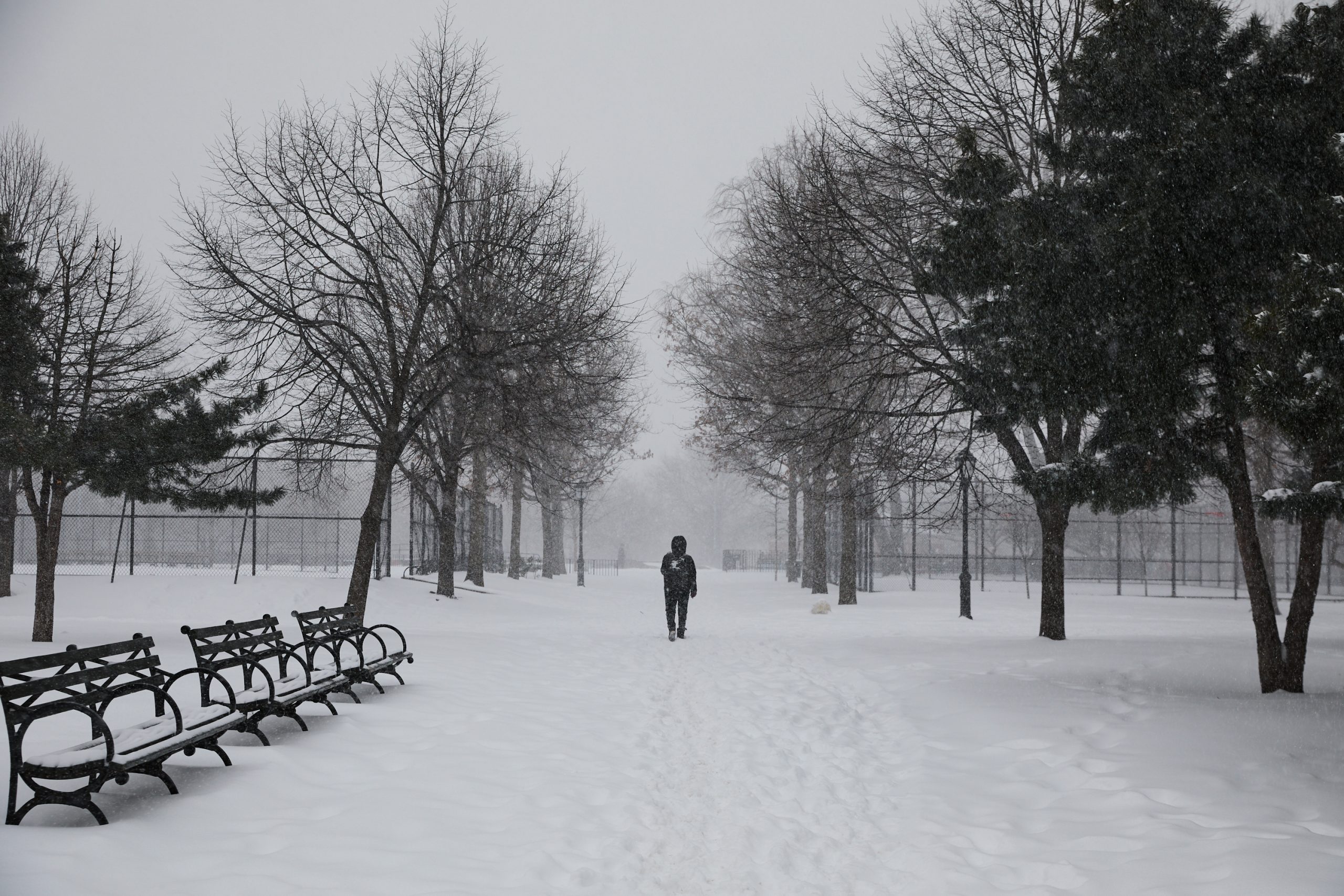 Winter Weather New York Σφοδρή χιονοθύελλα και πολικό ψύχος πλήττουν τις ΗΠΑ – Ακυρώσεις πτήσεων, διακοπές ρεύματος και παγωμένες πόλεις