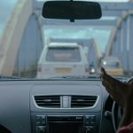 Τέλη κυκλοφορίας 2026 με το μήνα: Πώς να γλιτώσετε χρήματα με την «ψηφιακή άρση»