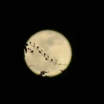 Πανσέληνος Ιανουαρίου 2026: Πότε θα απολαύσουμε το «Φεγγγάρι του Λύκου»