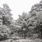 Καιρός: Άνοδος της θερμοκρασίας με παροδικές νεφώσεις και ασθενείς χιονοπτώσεις