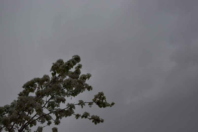 Ο καιρός της Τετάρτης 7ης Ιανουαρίου 2026