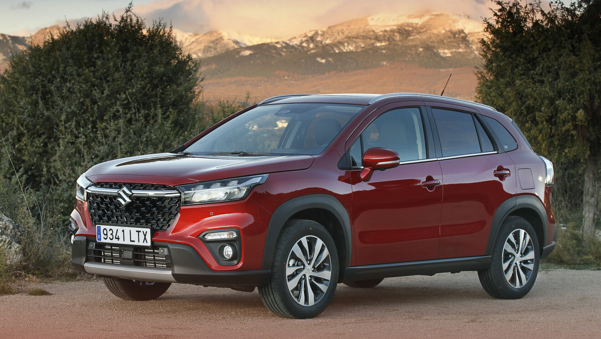 dokimi suzuki s cross hybrid allgrip 1 (1)