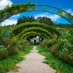 ΦΥΤΑ, ΚΗΠΟΣ