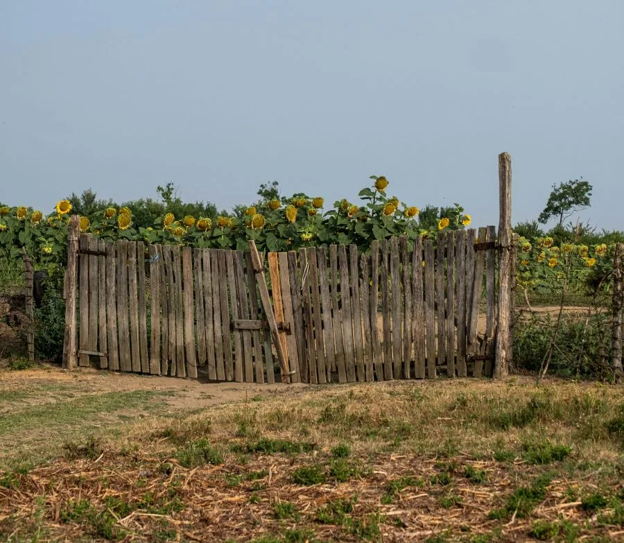 Ακαθάριστα οικόπεδα: Τι γίνεται αν οι ιδιοκτήτες δεν κάνουν δήλωση