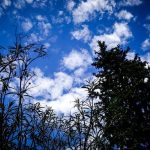 Καιρός: Γενικά αίθριος με αραιές νεφώσεις κατά τόπους πιο πυκνές