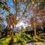 Καιρός: Άνοιξη με «χειμωνιάτικες πινελιές» – Με ηλιοφάνεια υποδεχόμαστε το Σαββατοκύριακο