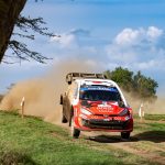 WRC Takamoto Katsuta (Toyota)