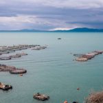 Οριστική δικαίωση της Περιφέρειας για τα ασφαλτικά στη Σαγιάδα