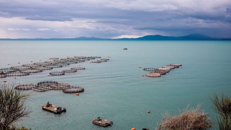 Οριστική δικαίωση της Περιφέρειας για τα ασφαλτικά στη Σαγιάδα