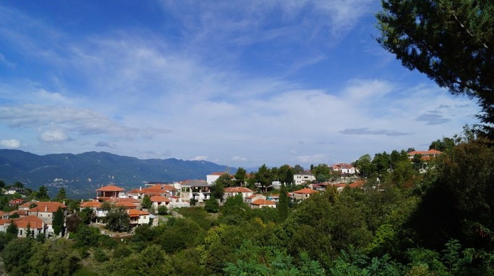 Πυρκαγιά σε οινοποιείο στη Ζίτσα