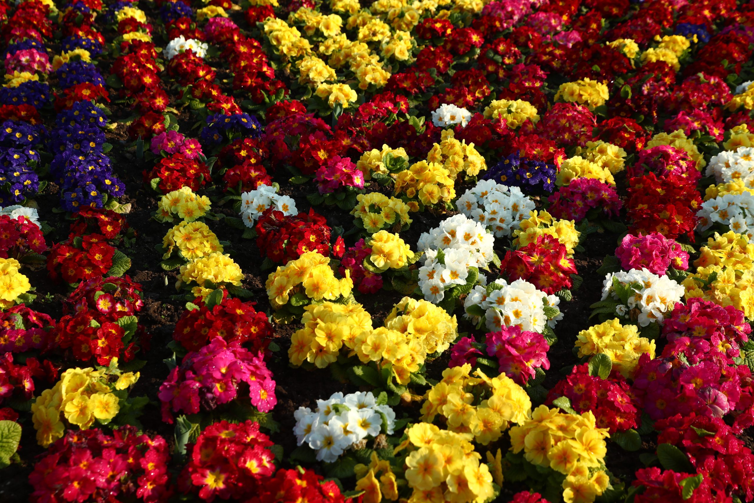 Εορτολόγιο: Ποιοι γιορτάζουν σήμερα, 2 Απριλίου - ertnews.gr