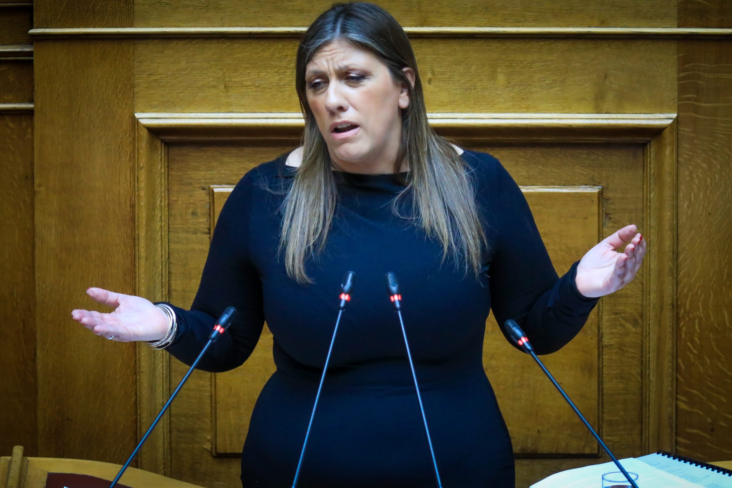 Κωνσταντοπούλου: «O κόσμος συζητάει ολοένα και περισσότερο πώς θα φύγει αυτή η κυβέρνηση» - ertnews.gr