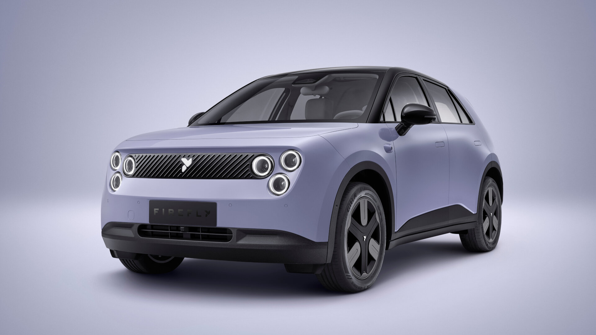 firefly comfort 2026 (1)