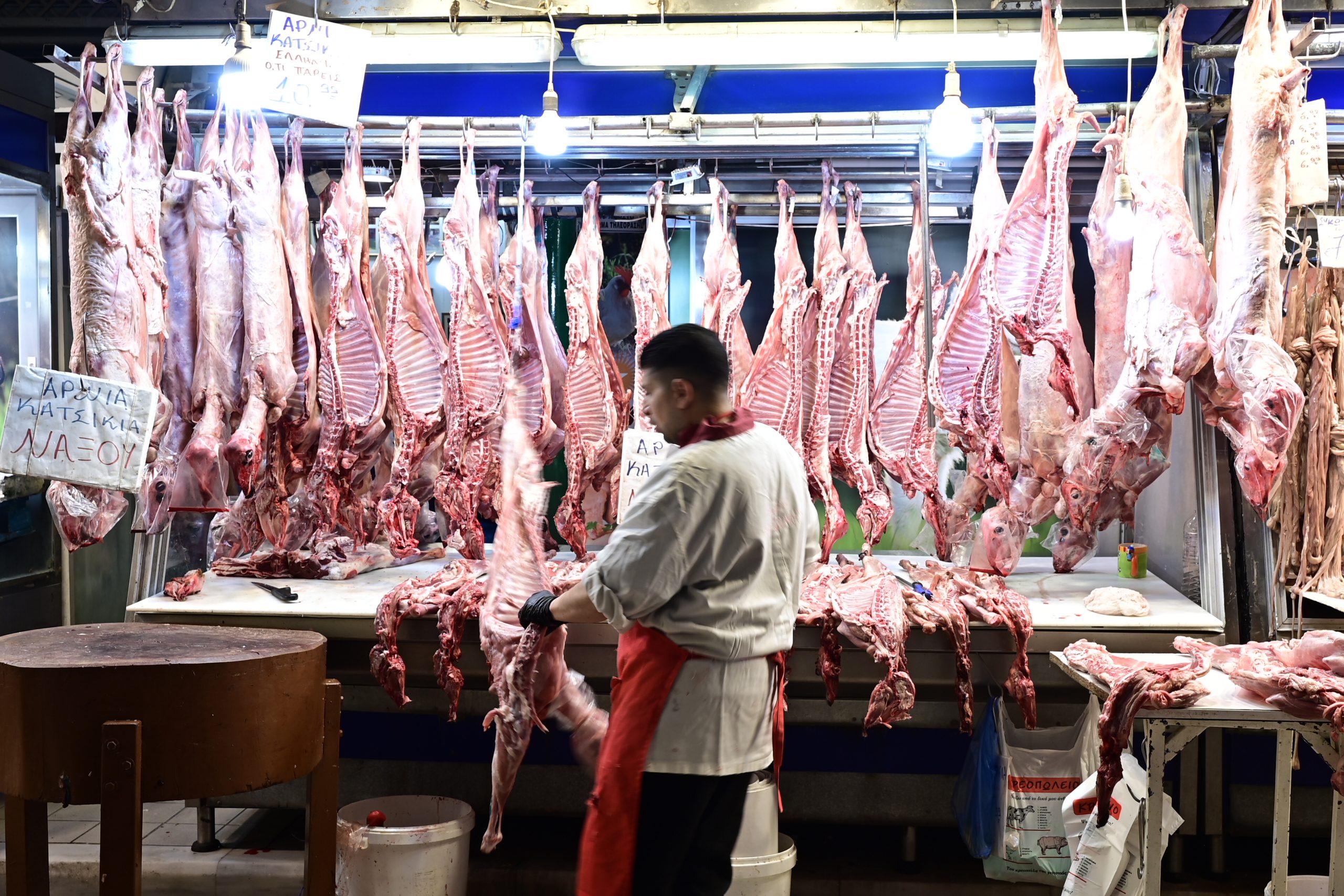 Η κίνηση στην αγορά της Αθήνας και της Θεσσαλονίκης - Πού κυμαίνονται οι τιμές στα αμνοερίφια - ertnews.gr