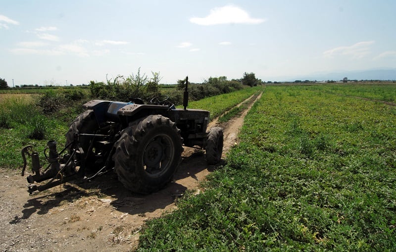 Σήμερα η καταβολή αποζημιώσεων 73 εκατ. ευρώ για ζημιές του 2025 από τον ΕΛΓΑ